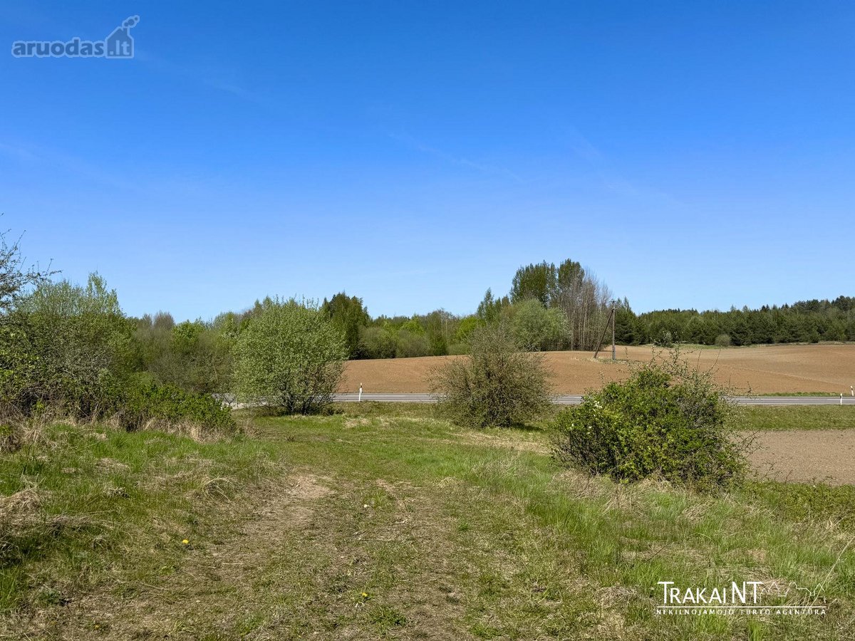 Parduodama 6,32 Ha Žemės Ūkio Paskirties Žemė - nuotraukos Nr. 11