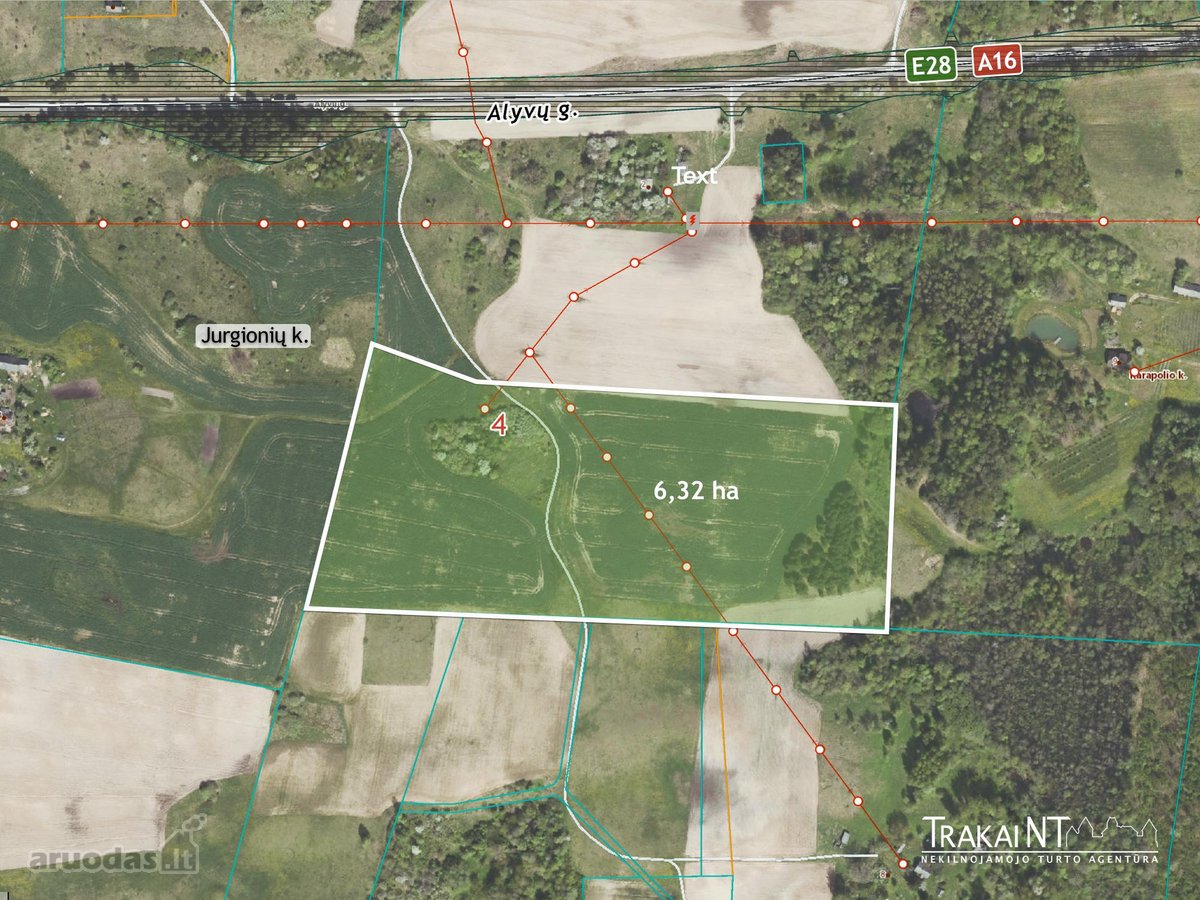 Parduodama 6,32 Ha Žemės Ūkio Paskirties Žemė - nuotraukos Nr. 12