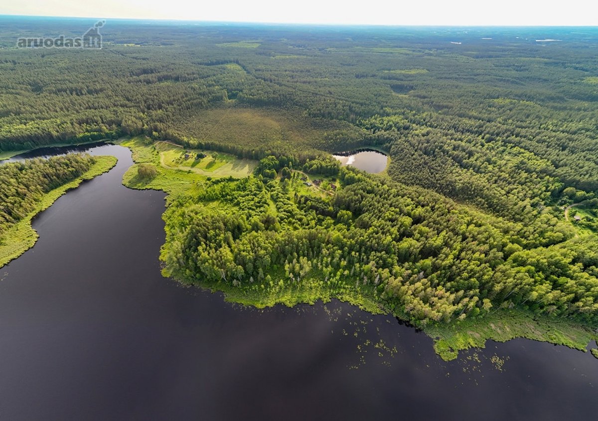 Tarp dviejų ežerų, Labanoro regioninio parko - nuotraukos Nr. 2