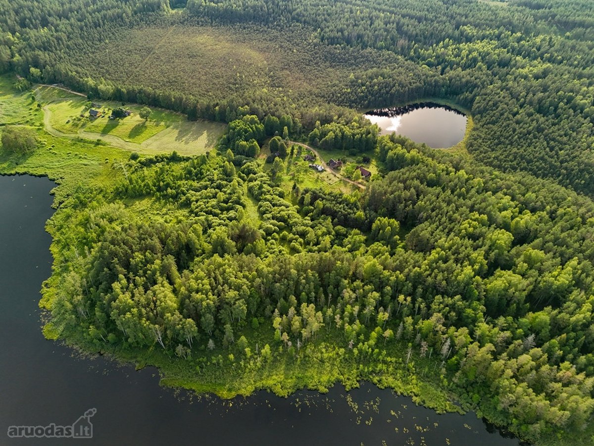 Tarp dviejų ežerų, Labanoro regioninio parko - nuotraukos Nr. 3