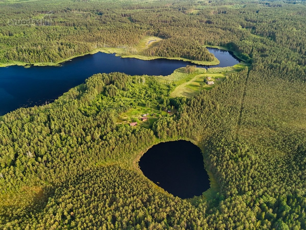 Tarp dviejų ežerų, Labanoro regioninio parko - nuotraukos Nr. 6
