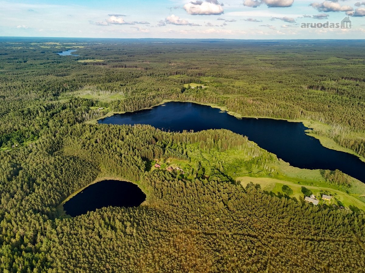 Tarp dviejų ežerų, Labanoro regioninio parko - nuotraukos Nr. 7