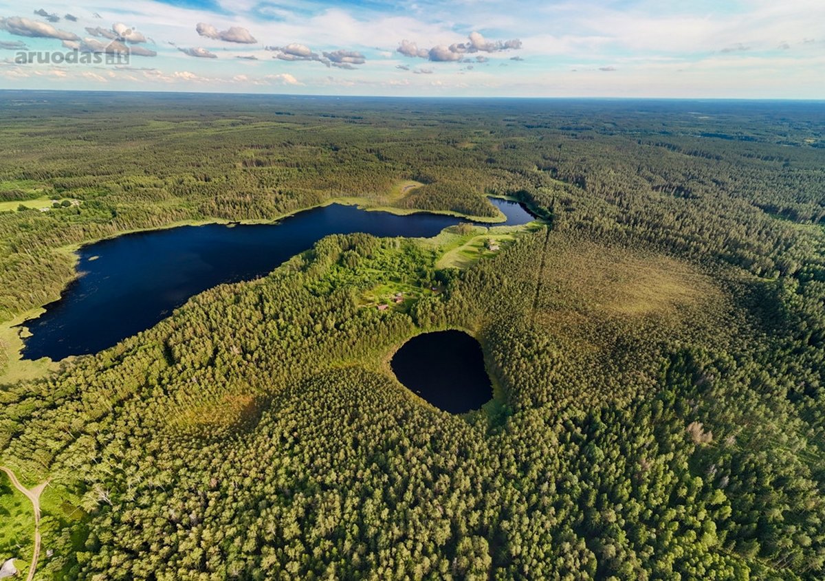 Tarp dviejų ežerų, Labanoro regioninio parko - nuotraukos Nr. 11