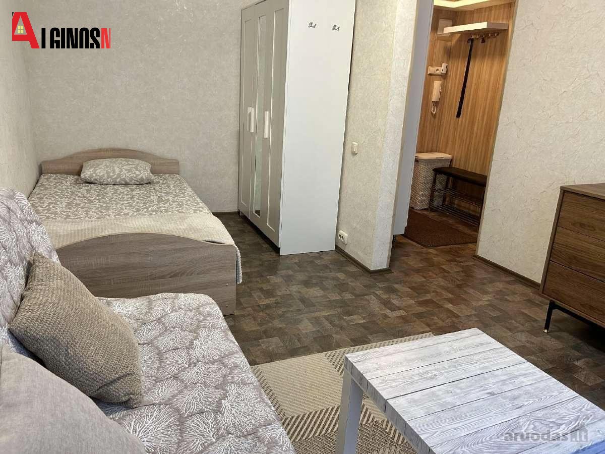 Baltijos pr. parduodamas vieno kambario butas - nuotraukos Nr. 6