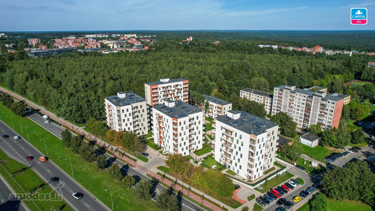 Išskirtiniai Namai Šalia Jomanto Parko - nuotraukos Nr. 24