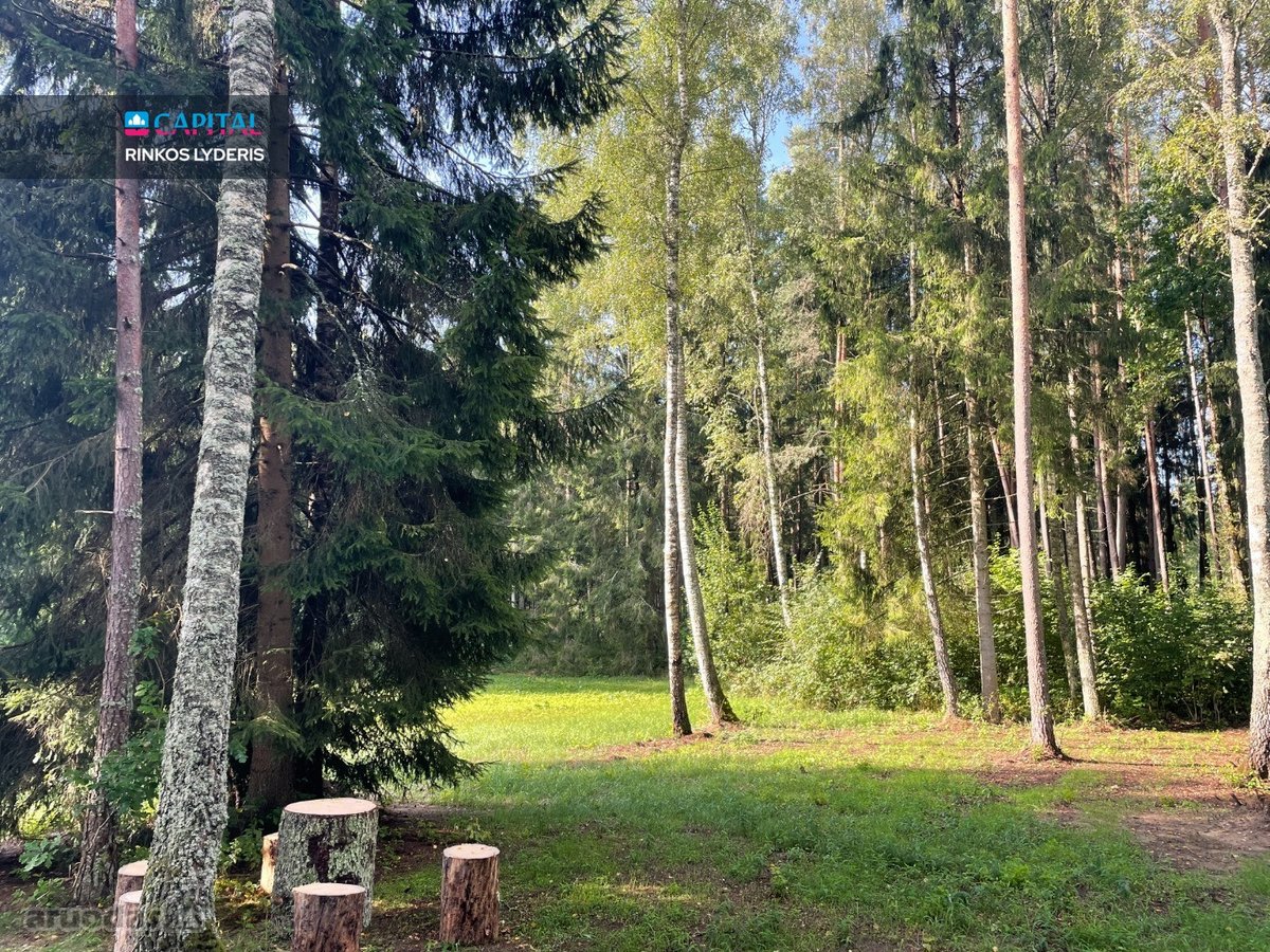 Sengirės Ir Ąžuolų Apsuptyje Prie Neries – - nuotraukos Nr. 3