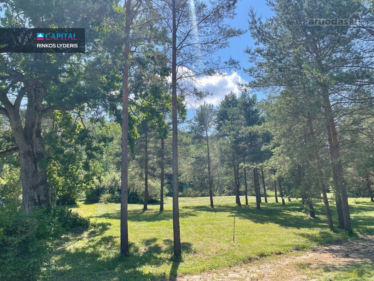 Nemenčinės miškų pušynų pašonėje, vos 3 - nuotraukos Nr. 2