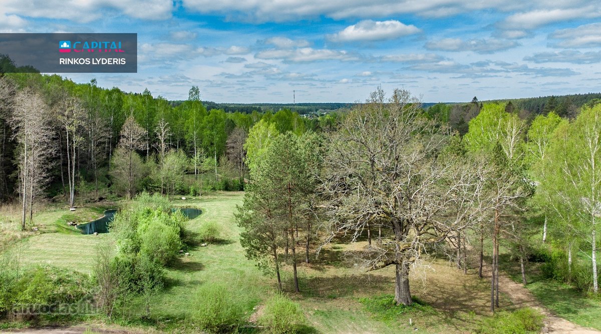 Nemenčinės miškų pušynų pašonėje, vos 3 - nuotraukos Nr. 4