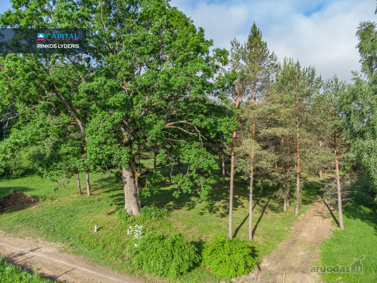 Nemenčinės miškų pušynų pašonėje, vos 3 - nuotraukos Nr. 11