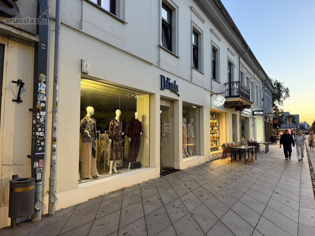 Išnuomojamas Šviesus Butas Kauno Centre – - nuotraukos Nr. 11