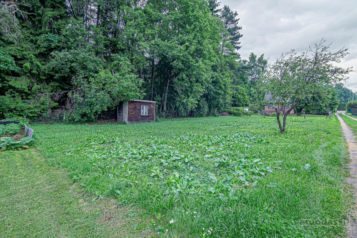 Parduodamas 6 arų sklypas sodų bendrijoje - nuotraukos Nr. 10