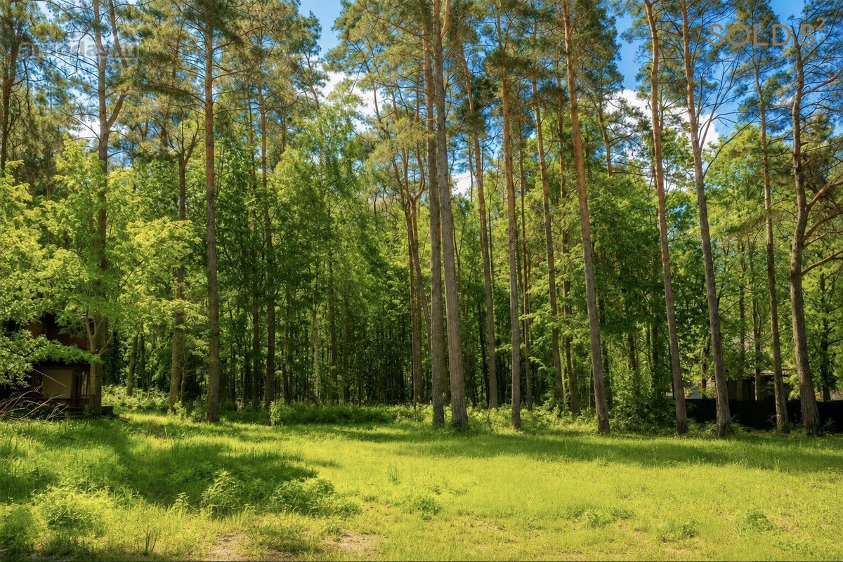 Artimoje Valakampių dalyje parduodamas namų - nuotraukos Nr. 4