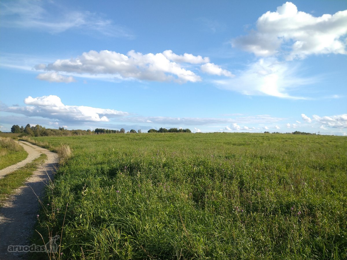 Parduodamas l.gražus 7.64 ha žemės sklypas su - nuotraukos Nr. 8