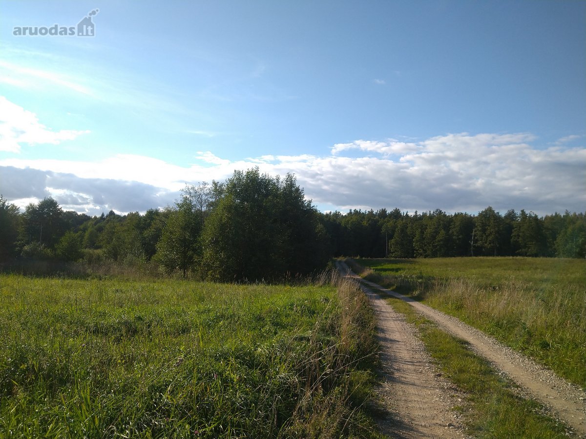 Parduodamas l.gražus 7.64 ha žemės sklypas su - nuotraukos Nr. 9