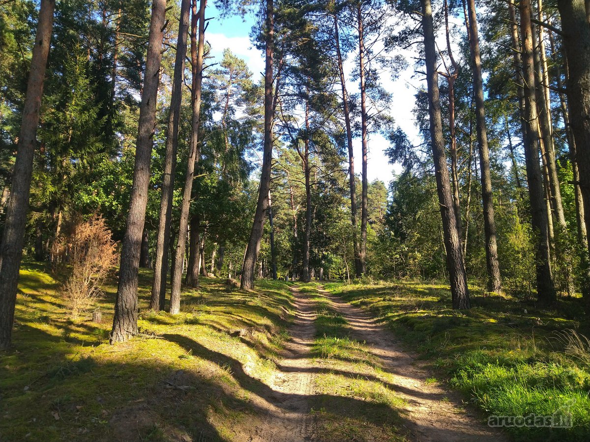 Parduodamas l.gražus 7.64 ha žemės sklypas su - nuotraukos Nr. 6