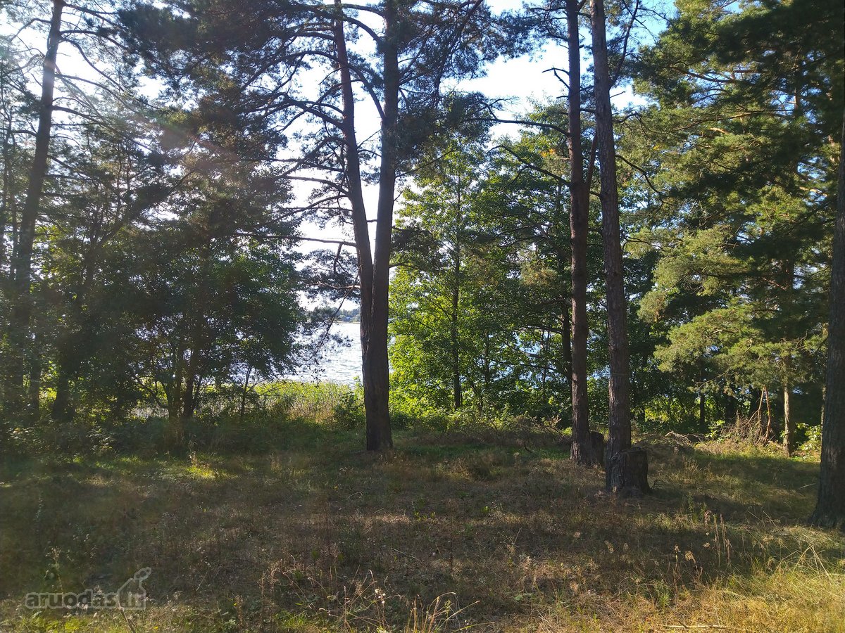 Parduodamas l.gražus 7.64 ha žemės sklypas su - nuotraukos Nr. 5