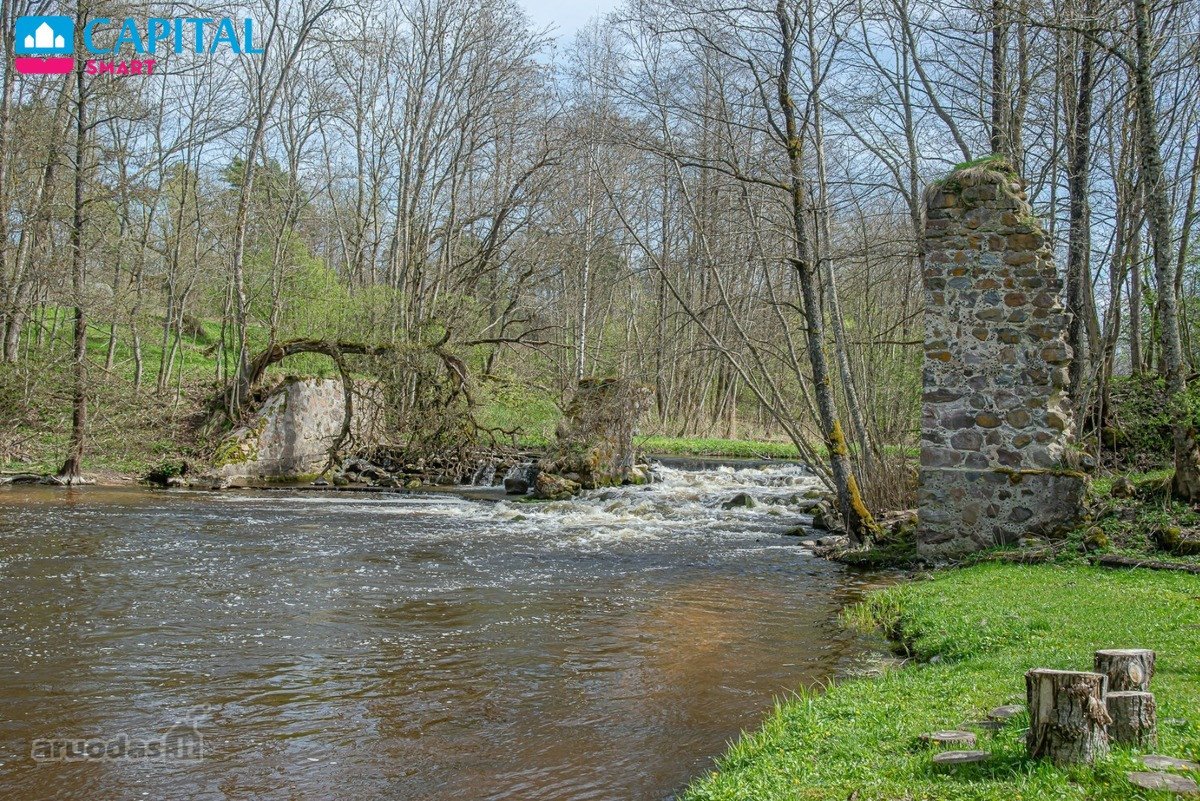 Nuostabioje vietoje, Klabinių kaime, Molėtų - nuotraukos Nr. 23