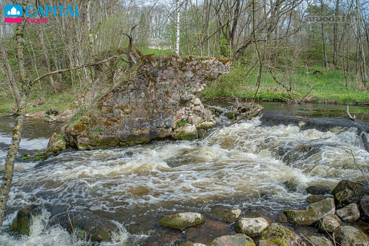 Nuostabioje vietoje, Klabinių kaime, Molėtų - nuotraukos Nr. 24