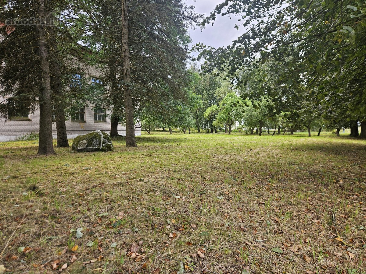 Parduodamas buvusios mokyklos pastatas, 700m2 - nuotraukos Nr. 5