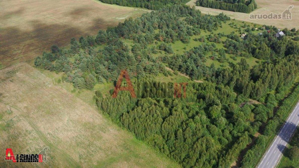 Parduodamas 3 ha rekreacinės paskirties - nuotraukos Nr. 4