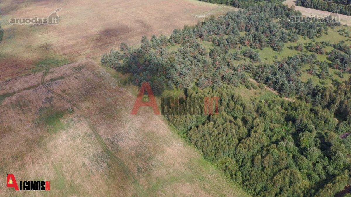 Parduodamas 3 ha rekreacinės paskirties - nuotraukos Nr. 5