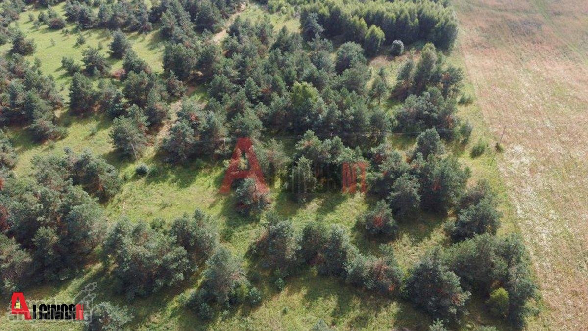 Parduodamas 3 ha rekreacinės paskirties - nuotraukos Nr. 14
