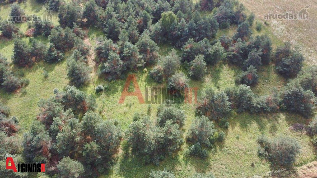 Parduodamas 3 ha rekreacinės paskirties - nuotraukos Nr. 15