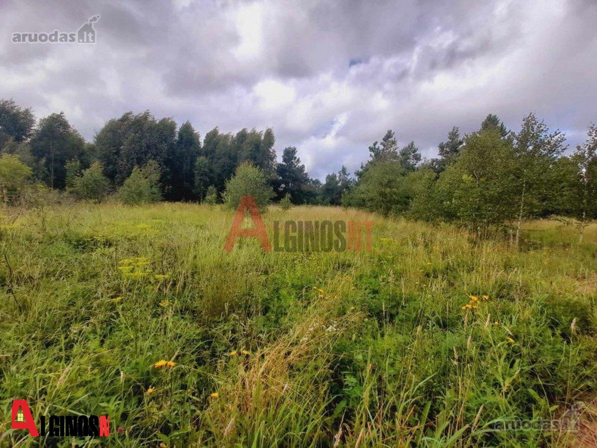 Parduodamas 3 ha rekreacinės paskirties - nuotraukos Nr. 17