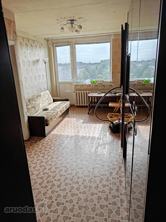 Šviesus saulėtas butukas ramioje vietoje su - nuotraukos Nr. 3