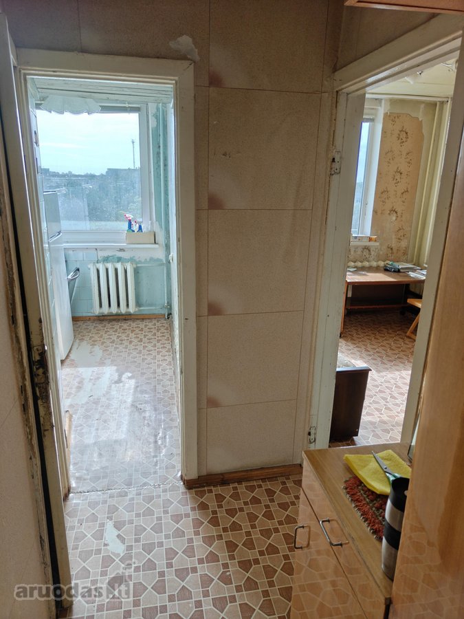 Šviesus saulėtas butukas ramioje vietoje su - nuotraukos Nr. 7