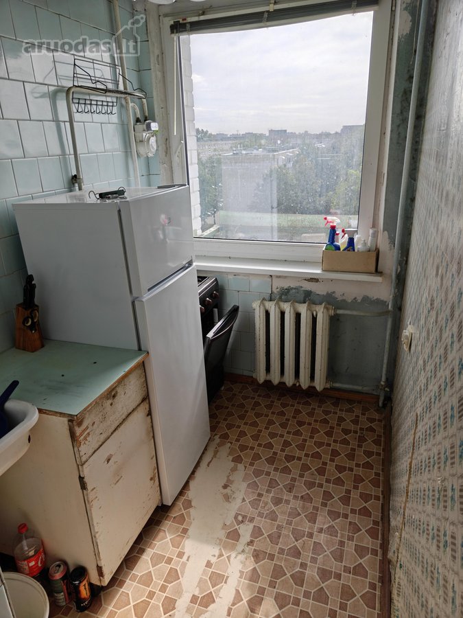 Šviesus saulėtas butukas ramioje vietoje su - nuotraukos Nr. 8
