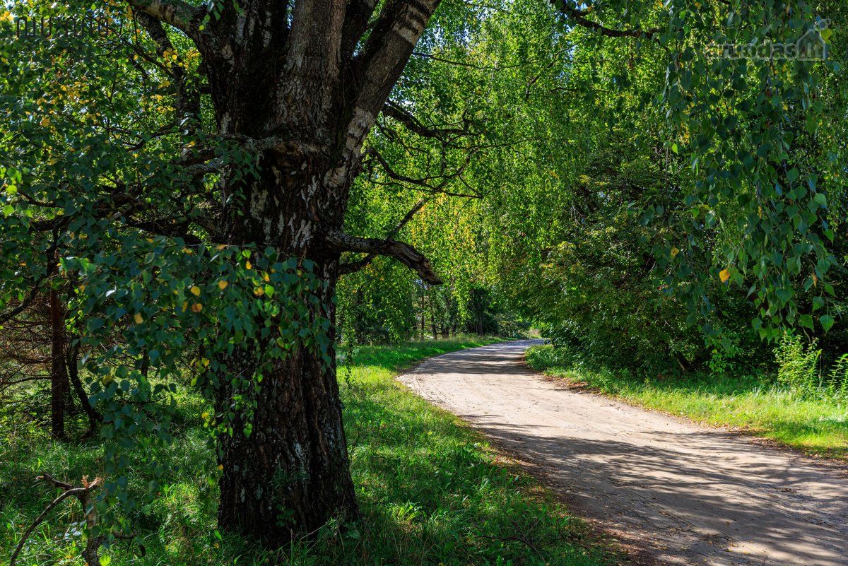 Valakampiai – tai Vilniaus vieta, kur miesto - nuotraukos Nr. 18