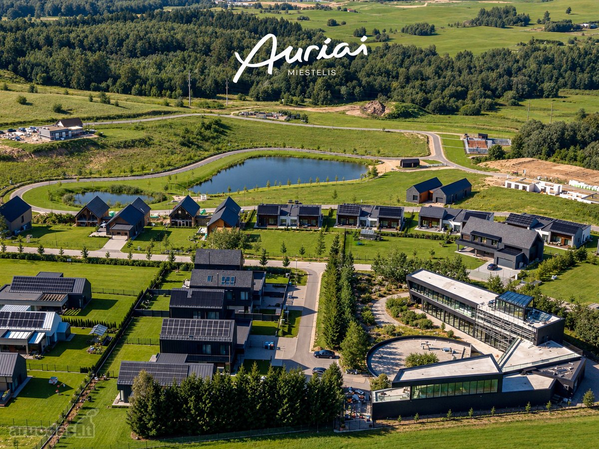 W - nuotraukos Nr. 2