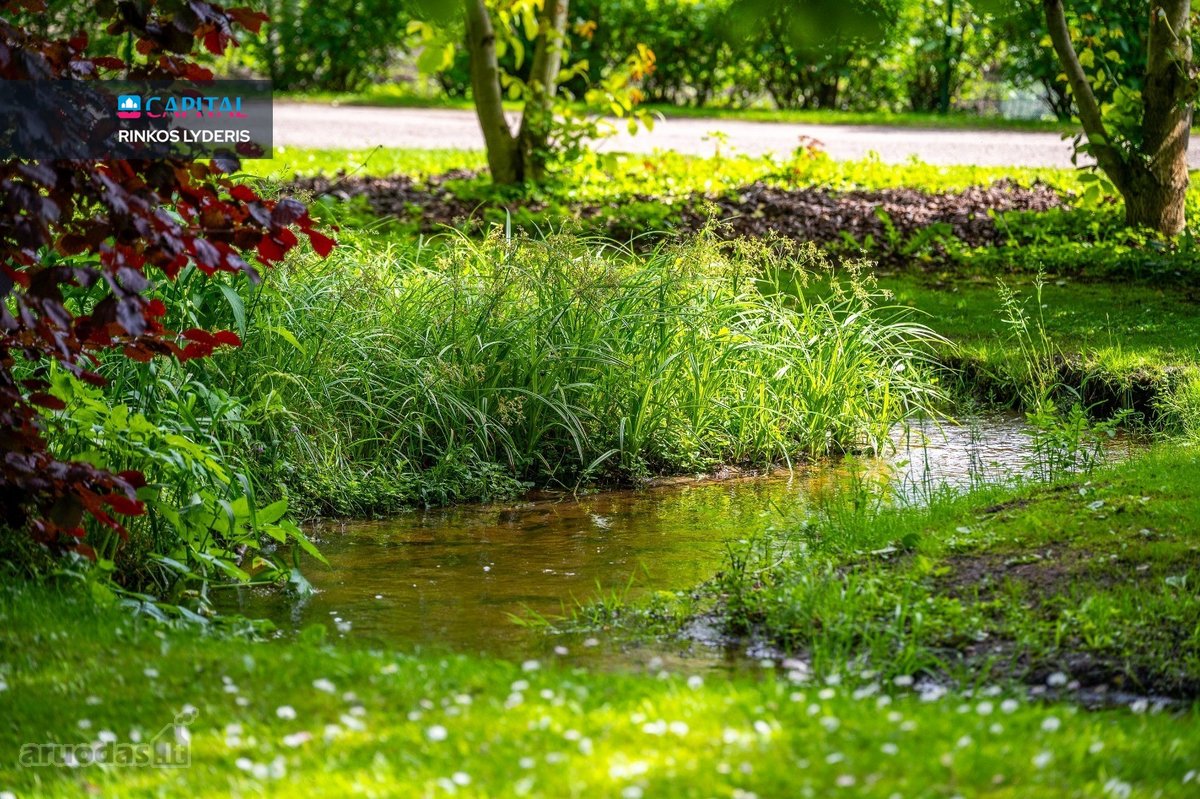 Gamtos Ramybė Ir Miesto Patogumai – 4,18 A - nuotraukos Nr. 4