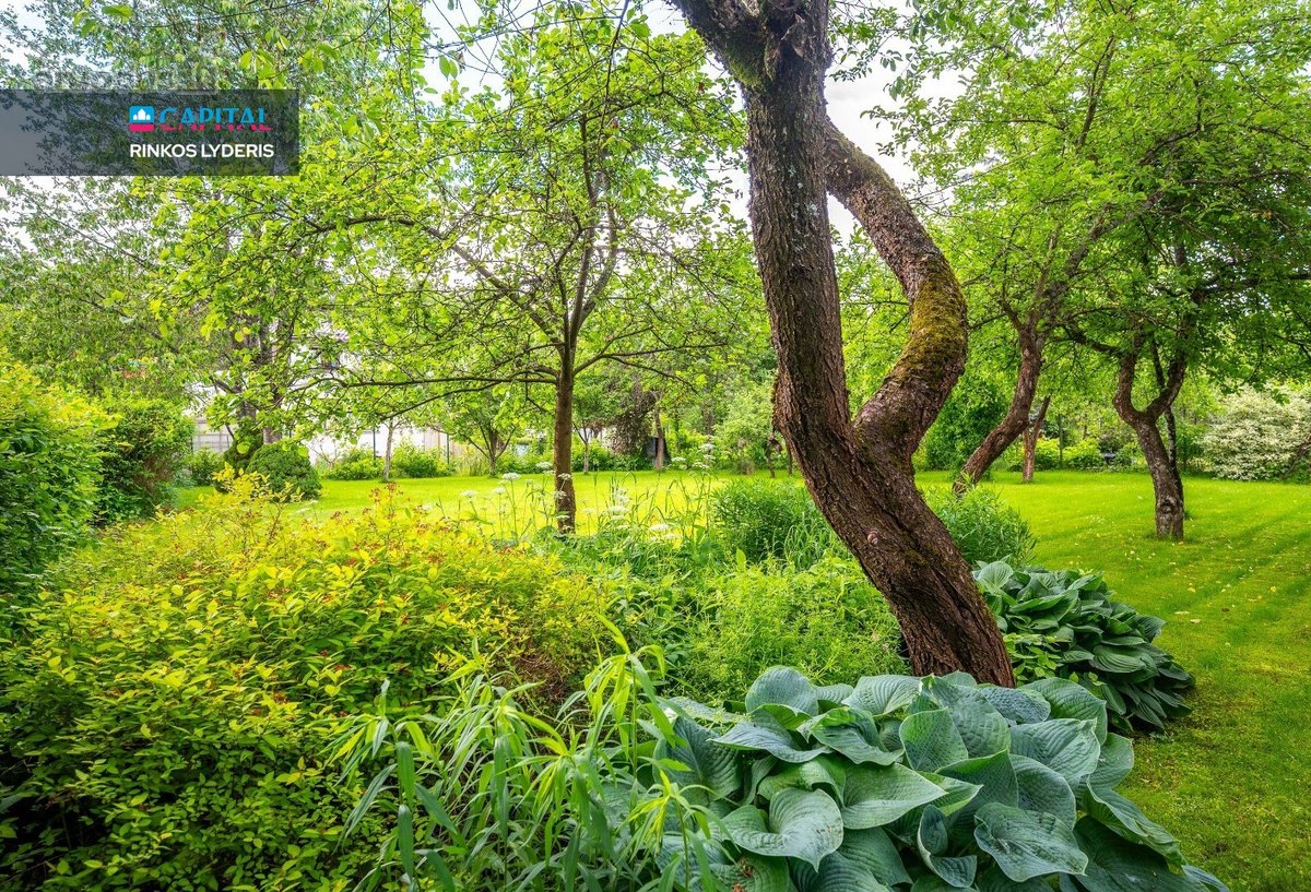 Gamtos Ramybė Ir Miesto Patogumai – 4,18 A - nuotraukos Nr. 3
