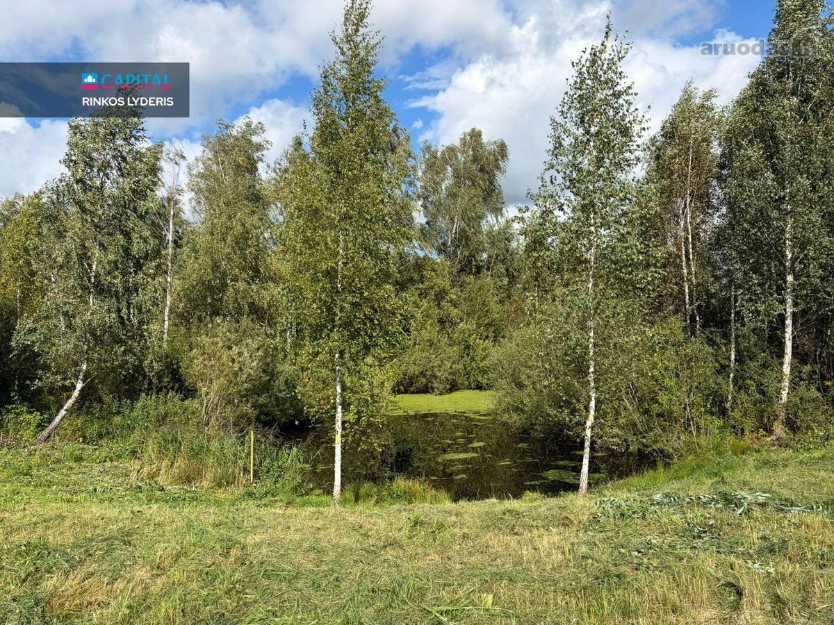 Vaizdingoje Bubų gyvenvietėje, Rastinėnų - nuotraukos Nr. 14