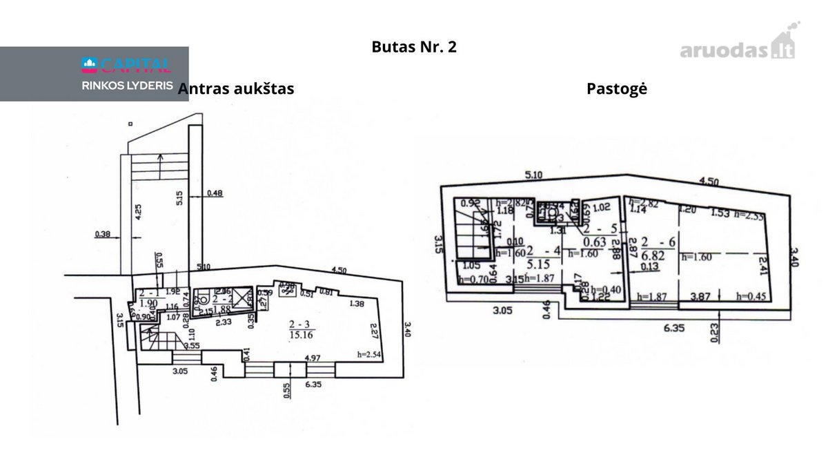 Unikulus Ir Perspektyvus Pasirinkimas - nuotraukos Nr. 29