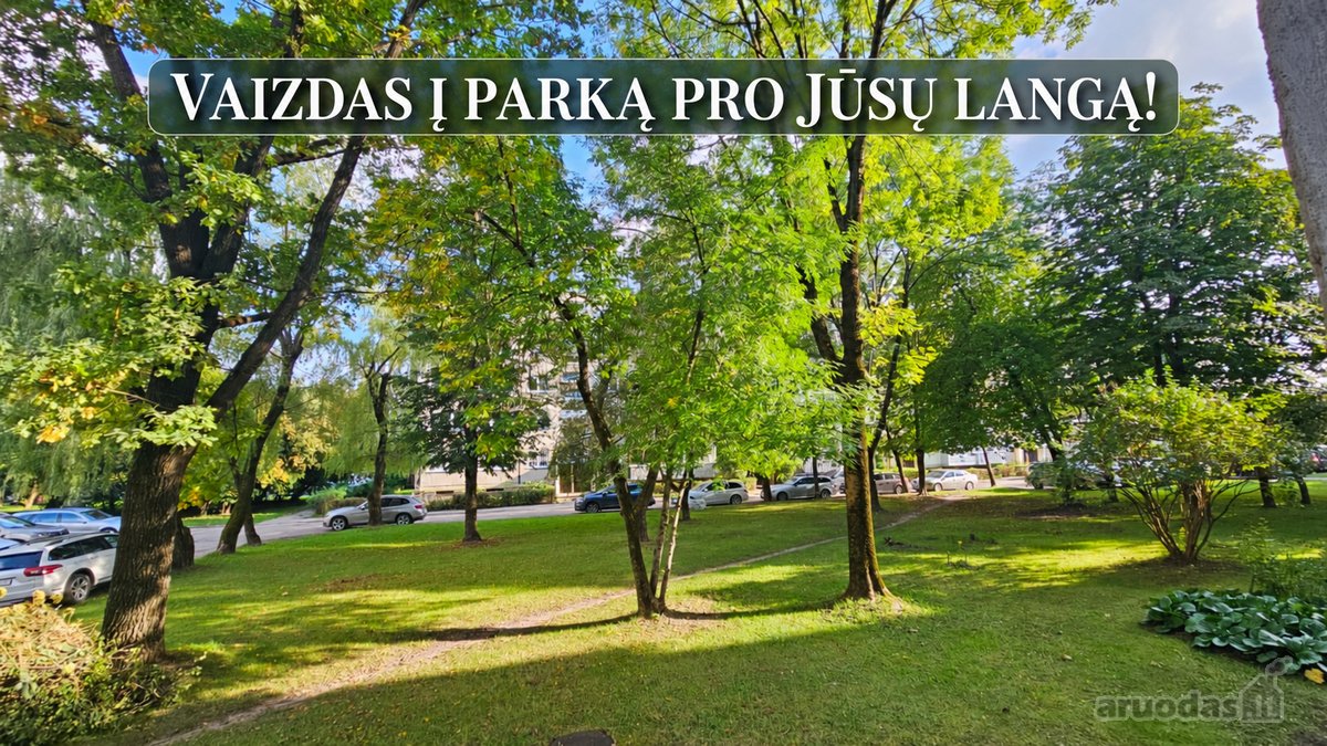 Tiesioginis Vaizdas Į Parkelį Pro Jūsų Buto - nuotraukos Nr. 3