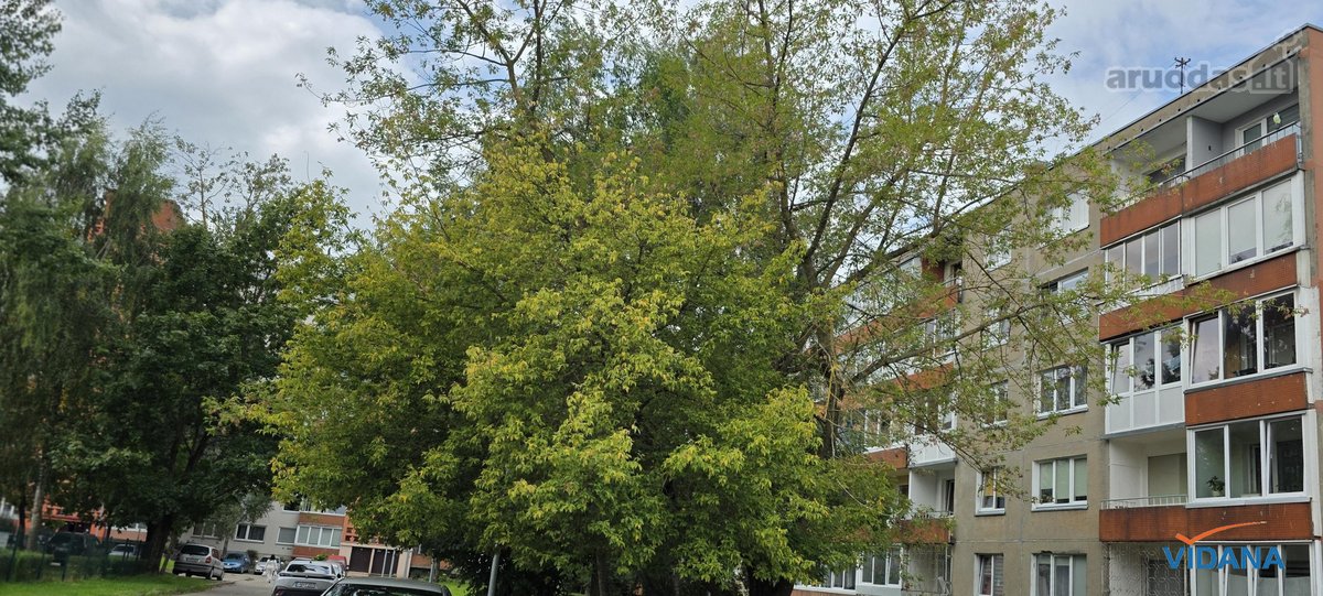 2 Kambarių Suremontuotas Butas Šalia Taikos - nuotraukos Nr. 23