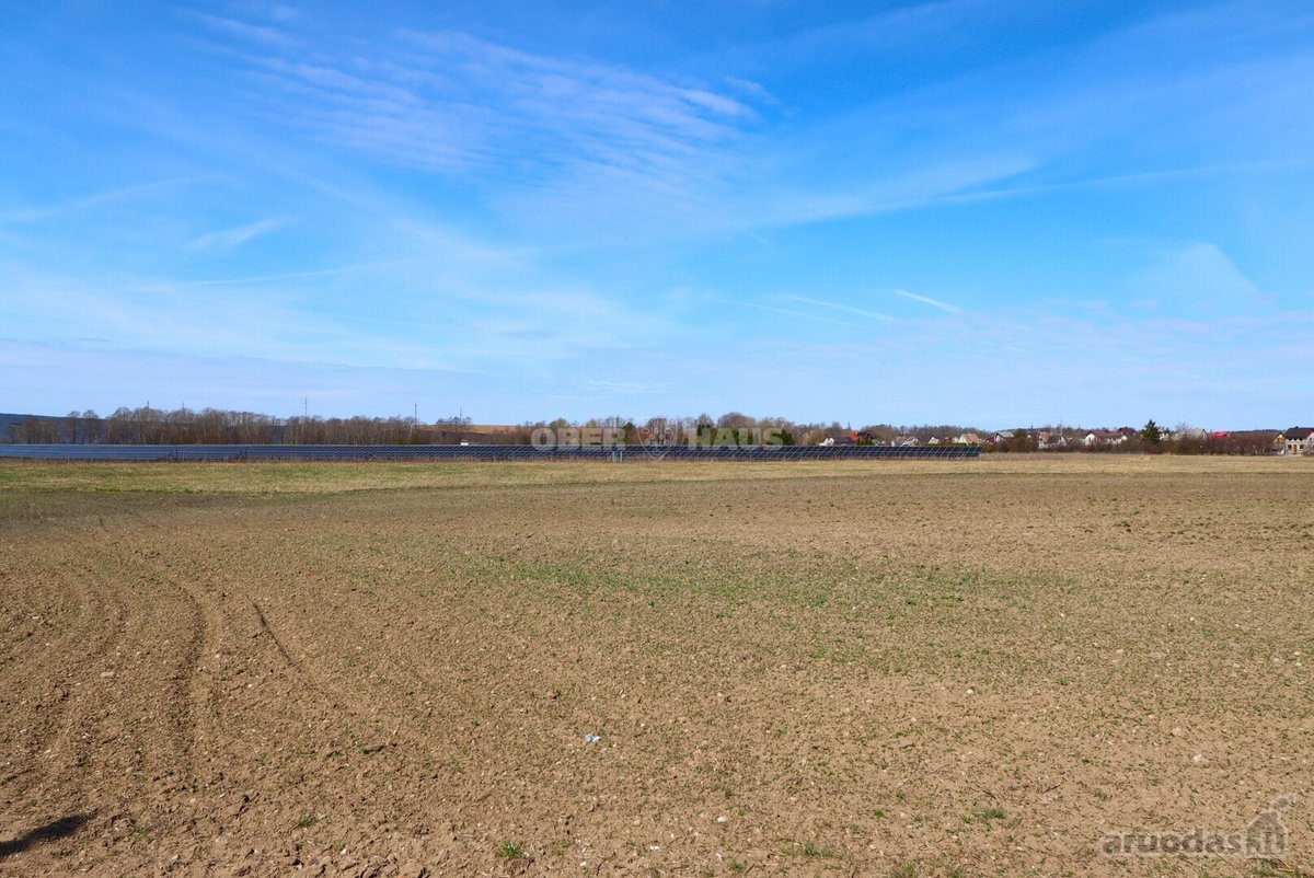 Parduodamas 2,16 ha žemės sklypas Rimkų k., - nuotraukos Nr. 7