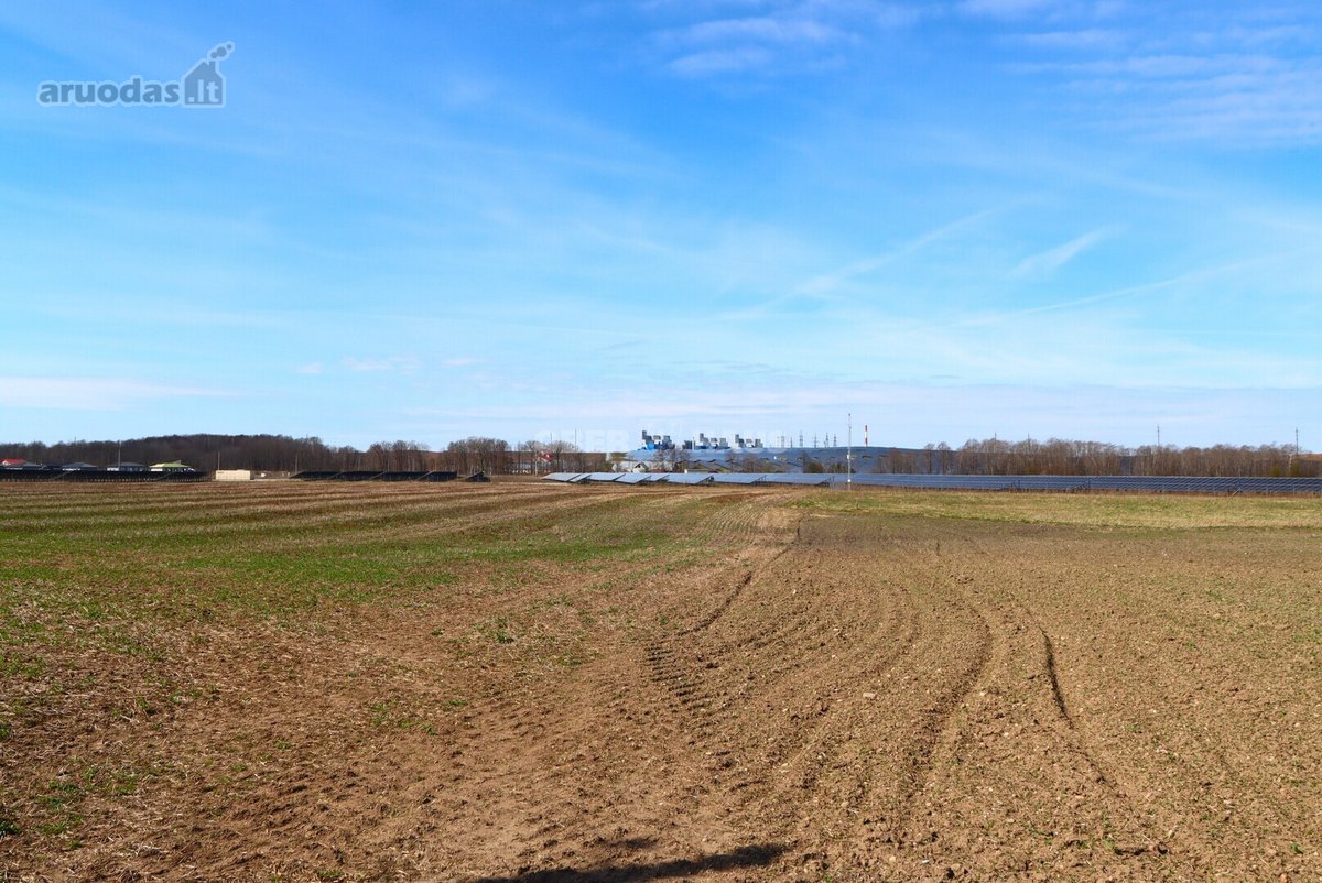 Parduodamas 2,16 ha žemės sklypas Rimkų k., - nuotraukos Nr. 8