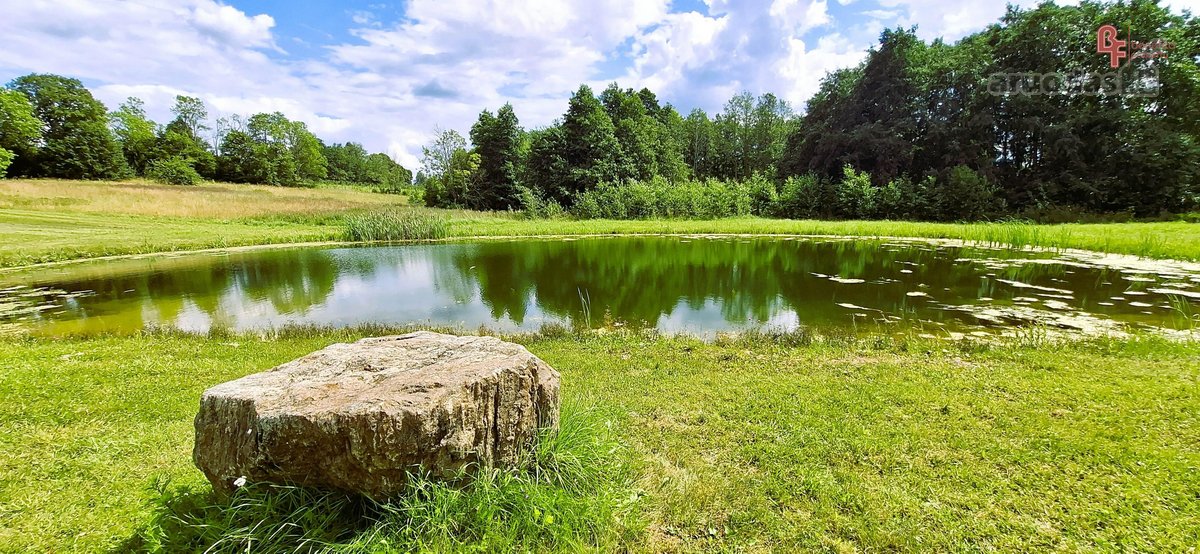 Parduodama sodyba prie Svylos - nuotraukos Nr. 11