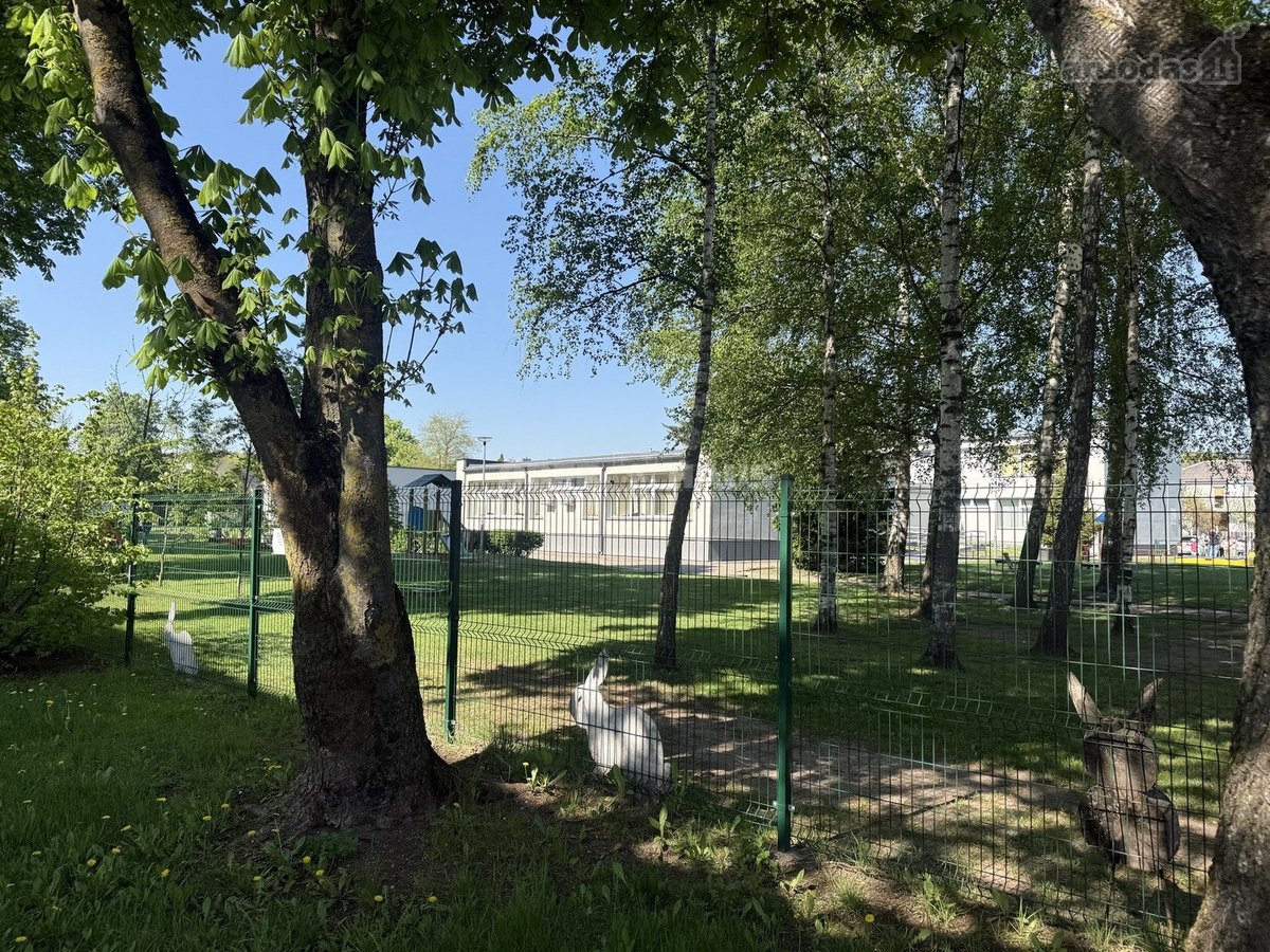 Gera kaina. Puikus pasiūlymas ieškantiems - nuotraukos Nr. 21