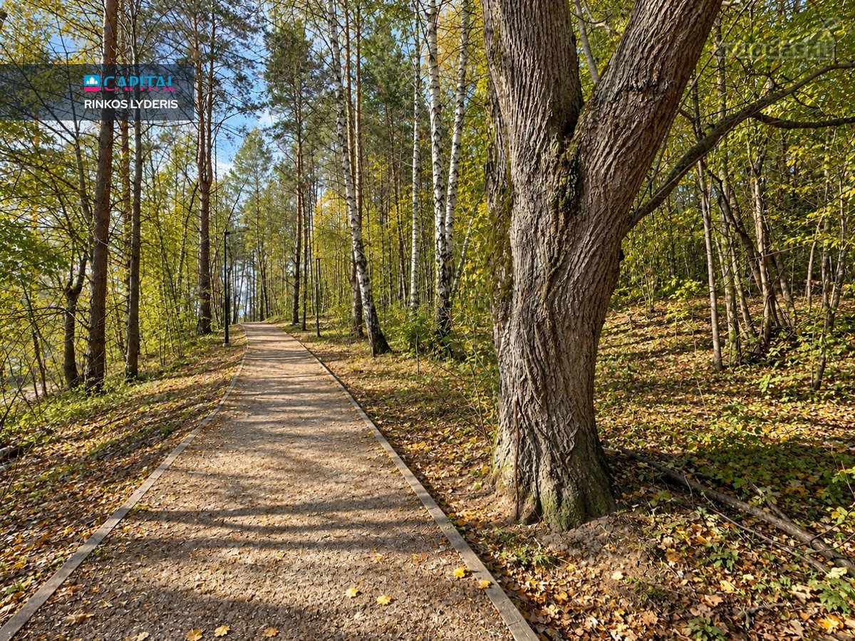 Nuomojamas stilingas ir jaukus Butas su - nuotraukos Nr. 28
