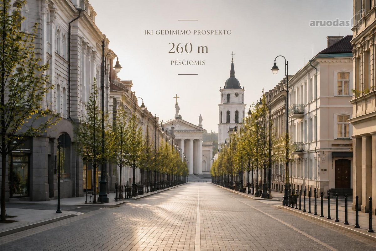 Apartamentai miesto centre tiems, kurie - nuotraukos Nr. 25