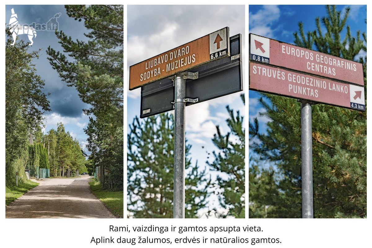 Parduodamas vieno aukšto gyvenamasis namas - nuotraukos Nr. 15