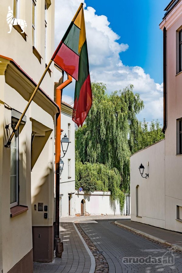 XVIII amžiaus Vilniaus istorijos dalimi - nuotraukos Nr. 27