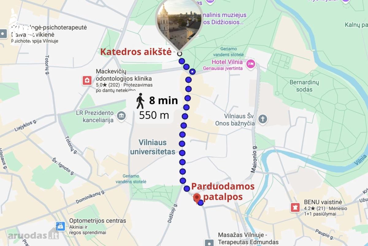 XVIII amžiaus Vilniaus istorijos dalimi - nuotraukos Nr. 31