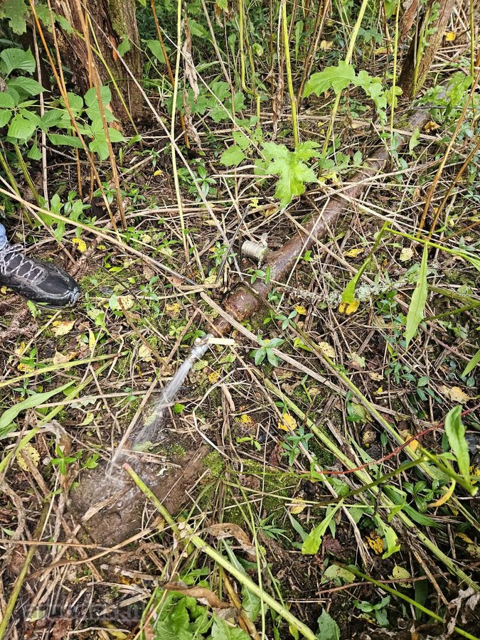 Parduodamas 6 arų sklypas Akmeniškėse, - nuotraukos Nr. 2