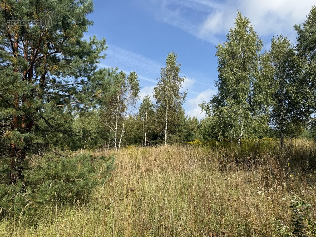 Sklypas sparčiai besivystančiame kvartale, - nuotraukos Nr. 4